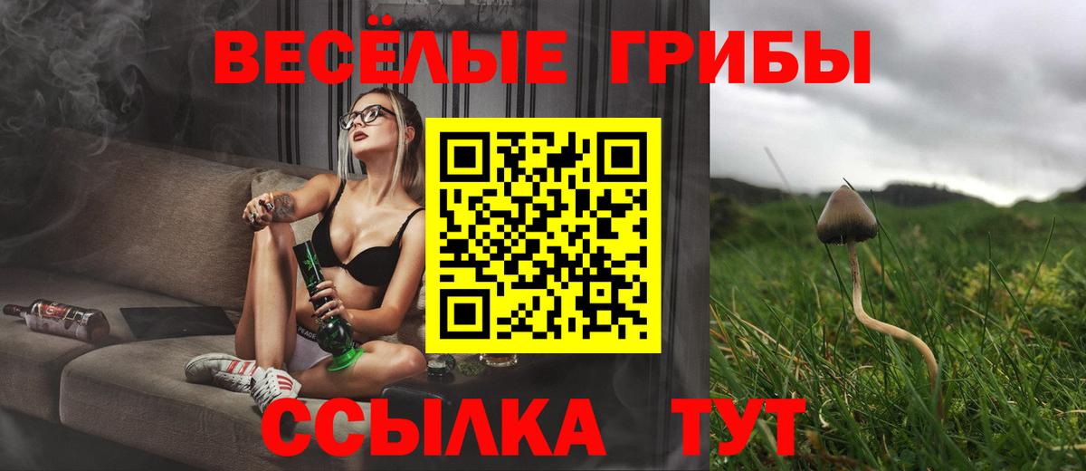 Псилоцибиновые грибы мухоморы  Вход с VPN  Феодосия 